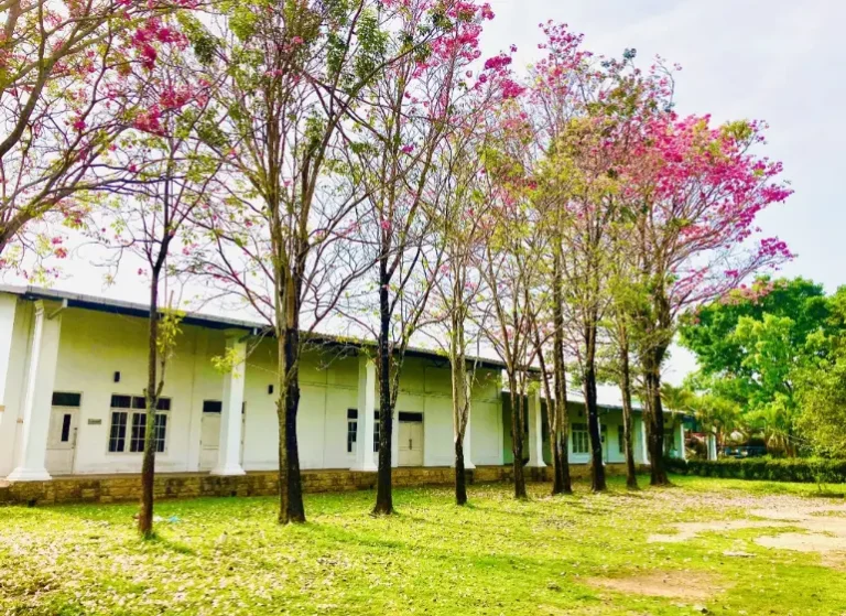 STAM Academy Landmark Projects